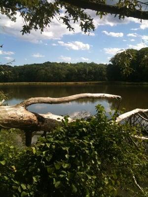 Smithsonian Environmental Research Center