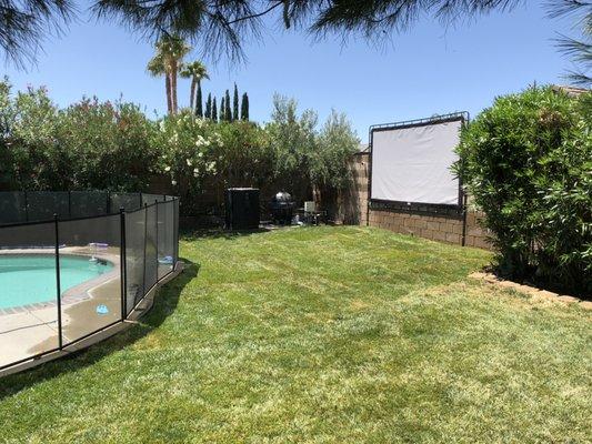 Same backyard after stumps and debris was removed, we installed the sod as well.