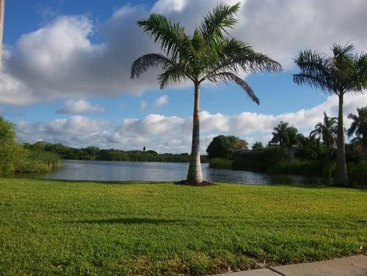 Mangroce Bay residential community sits behind the course. There is also a little league field complex next to it.