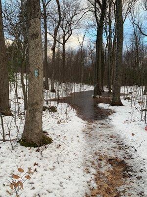 Yes, the blazes go through a vernal pond, but yes, you can go around it.