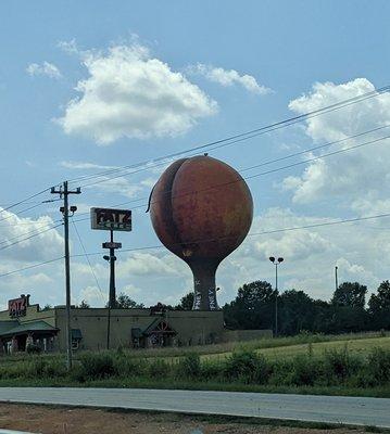 Gaffney's Peachoid