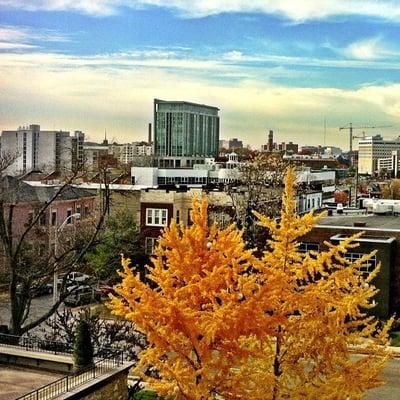 The Adelicia - Fall view from the Warner Music Building