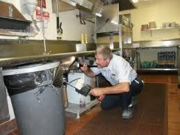 Restaurant Pest Control