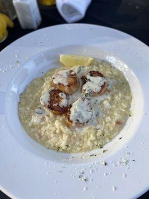 Pan Seared scallops on a lobster risotto w black truffle oil and sage sauce