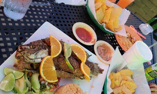 Fried whole tilapia