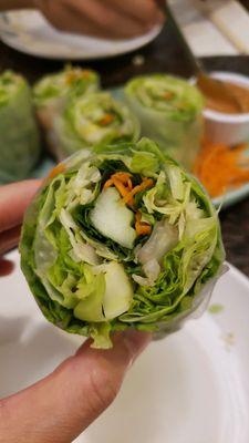 Fresh Spring Rolls with Shrimp up close