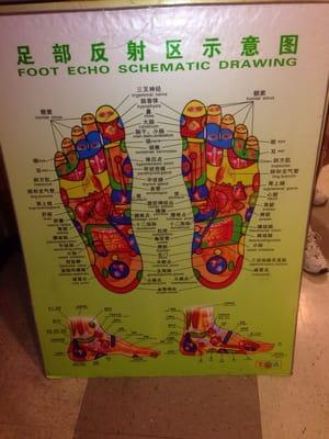 Reflexology chart by the front door.