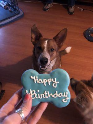 Happy Birthday Cookies!