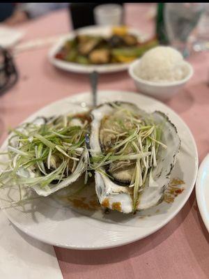 Steamed ginger scallion Oysters