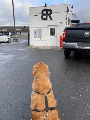 Here's my pup Sadie eagerly awaiting her treat and visit to her friends. :)