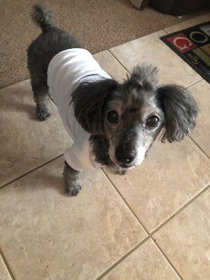 Hunter rocking his t shirt after surgery.