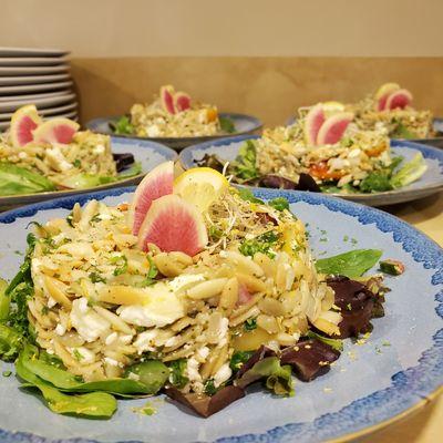 Tri-colored Orzo Salad - Plated Dinner