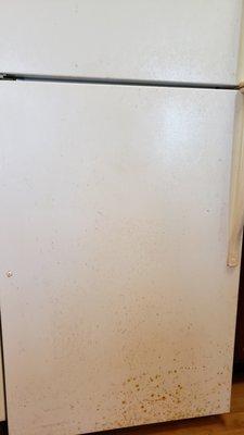 Rust and staining on refrigerator that is disconcerting.