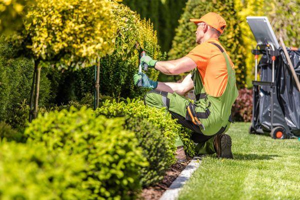 Rico Landscaping and Maintenance