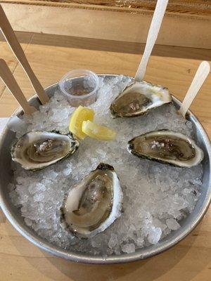 Oysters