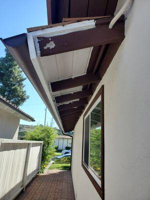 Roof and eaves repair