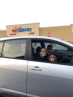 Kirby is going to school at Petsmart!