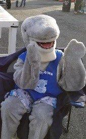 Sharky our mascot.