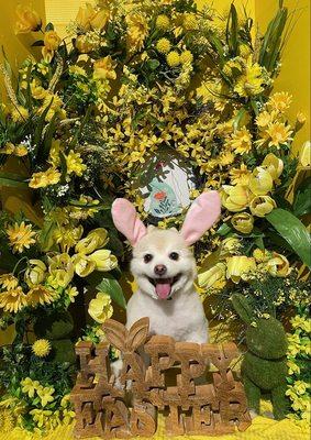 Happy Easter!