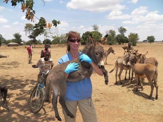 Professional Equine Therapeutic Services