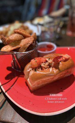 CT lobster roll