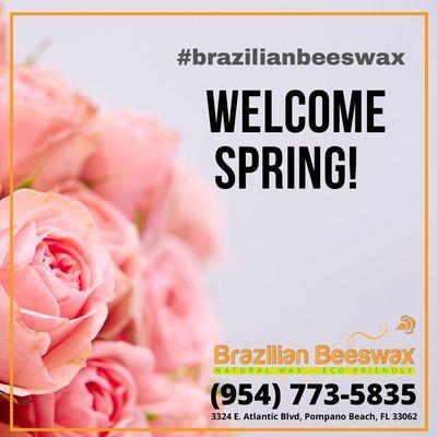 Brazilian Beeswax - Pompano Beach