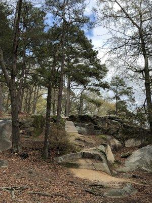 Beautiful mix of rocks and pine trees!