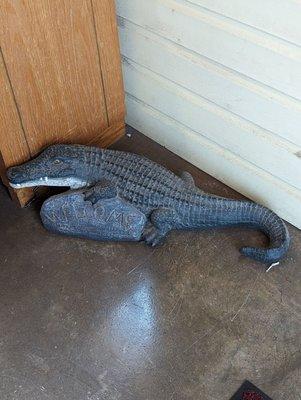 Another welcoming Alligator at the entrance