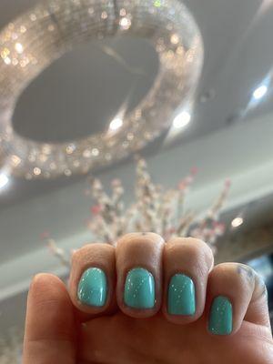 Gel Manicure in "Mint Tint" by Vickie.