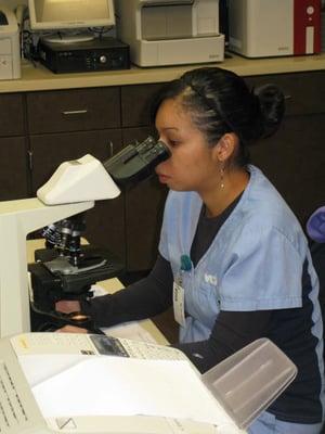 The Laboratory at VCA Oso Creek Animal Hospital and Emergency Center!