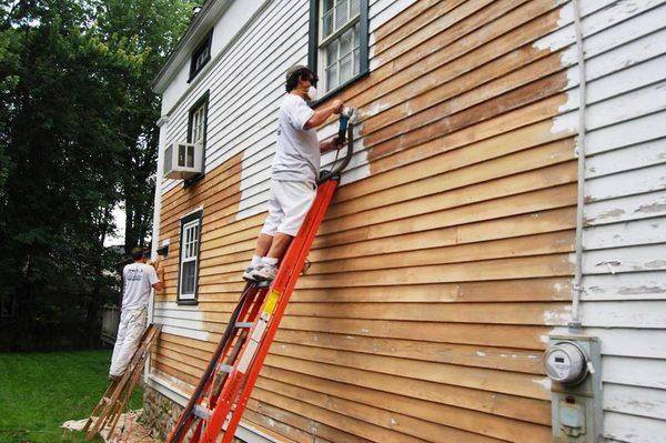 Exterior Painting Expert