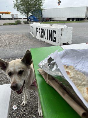 Outside seating and dog-friendly