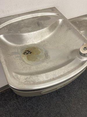 Drinking fountain