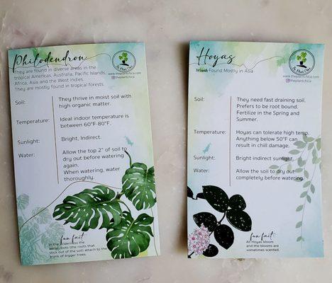 Complimentary plant care cards/life savers (mine AND my plants)