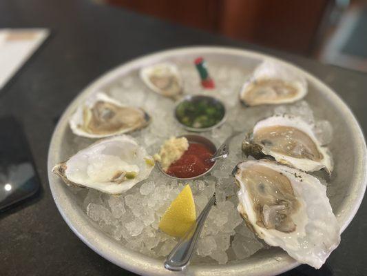 Half dozen cape code oysters - SO fresh and shucked PERFECTLY!!