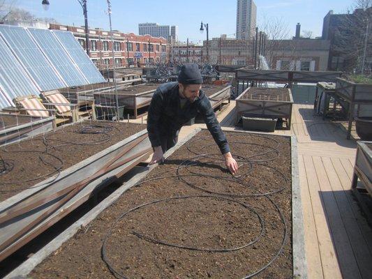 Installing a system on a rooftop garden (photo by Jen Rosenthal, Planted)