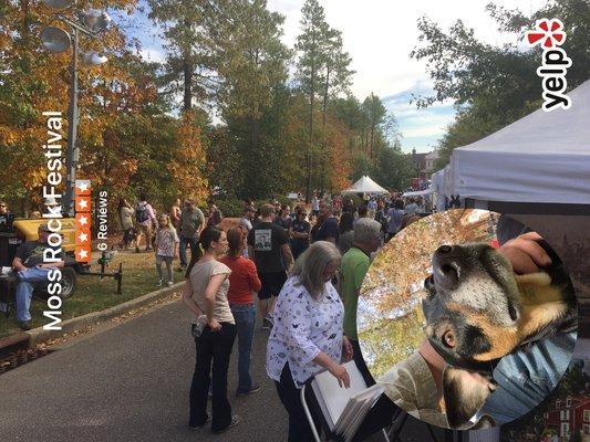 Busy row of vendors. I don't like this social network photo of yourself thing. I am old dog and it is hard to shoot 2 pics with paws.