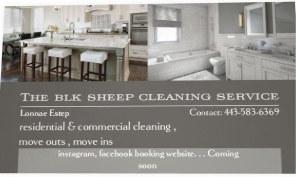 The Blk Sheep Cleaning Service