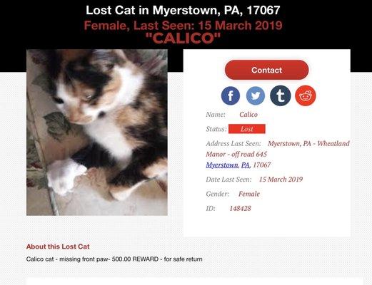 Missing - CALICO cat
 
 $500.00 REWARD for her safe return.