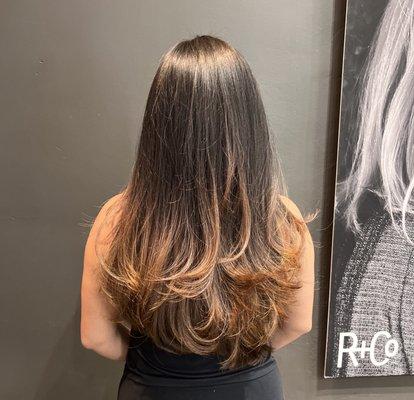 Long layers + blow out style by Nicole