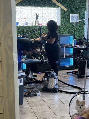 The owner comforting my pup during her nail trim