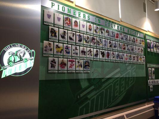 Wall of college, pro and other awesome women HM hockey players