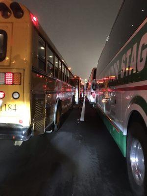 The line of busses at the starting line in Folsom.