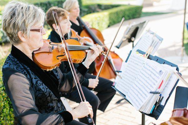 Naples Strings performing at our luxurious dream wedding at The Resort at Pelican Hill