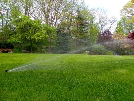 You too can have a beautiful lawn  with a properly installed irrigation system.