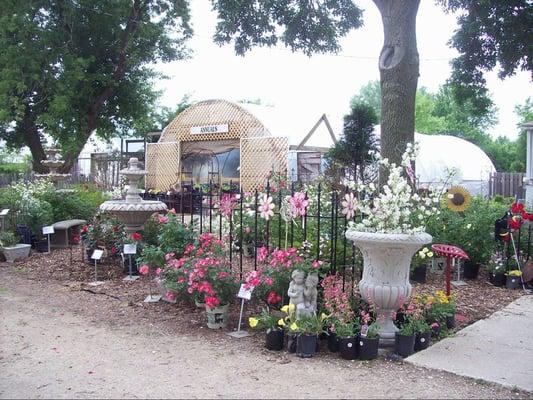 Outside the front greenhouse.