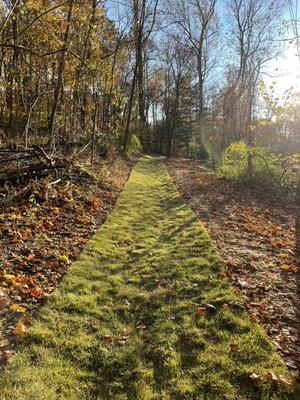 Drainage Swale Lined with Sod in Hillsboro Virginia