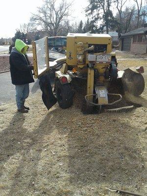 Stump grinding today with our 60 in cutting wheel tow behind