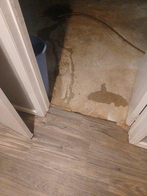 Water coming from the basement bathroom toilet to drain