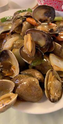 Black bean clams